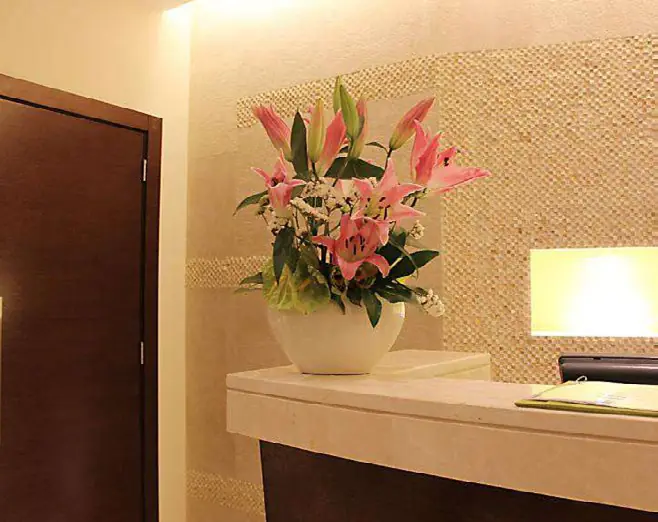 Wellness & Massage Center, Khalidiya Palace Rayhaan by Rotana